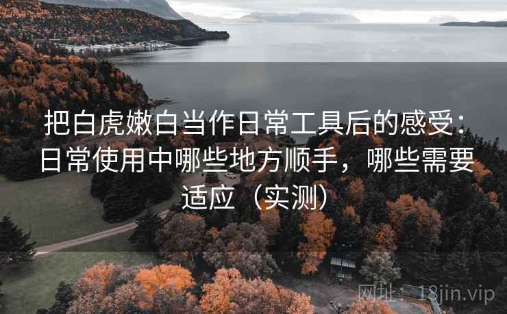 把白虎嫩白当作日常工具后的感受:日常使用中哪些地方顺手,哪些需要适应(实测) 把白虎嫩白当作日常工具后的感受:日常使用中哪些地方顺手,哪些需要适应(实测)