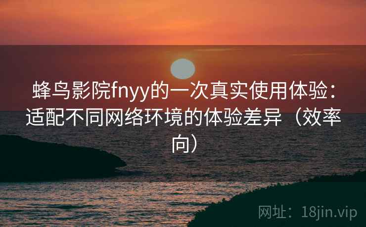 蜂鸟影院fnyy的一次真实使用体验：适配不同网络环境的体验差异（效率向）
