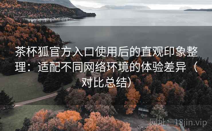 茶杯狐官方入口使用后的直观印象整理：适配不同网络环境的体验差异（对比总结）
