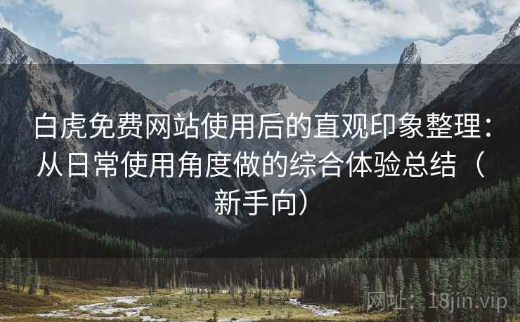 白虎免费网站使用后的直观印象整理：从日常使用角度做的综合体验总结（新手向）