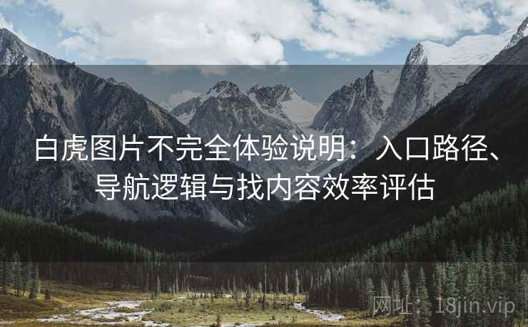 白虎图片不完全体验说明：入口路径、导航逻辑与找内容效率评估