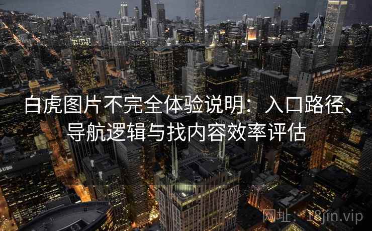 白虎图片不完全体验说明：入口路径、导航逻辑与找内容效率评估