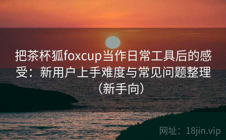 把茶杯狐foxcup当作日常工具后的感受：新用户上手难度与常见问题整理（新手向）