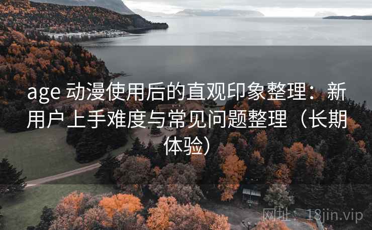 age 动漫使用后的直观印象整理：新用户上手难度与常见问题整理（长期体验）