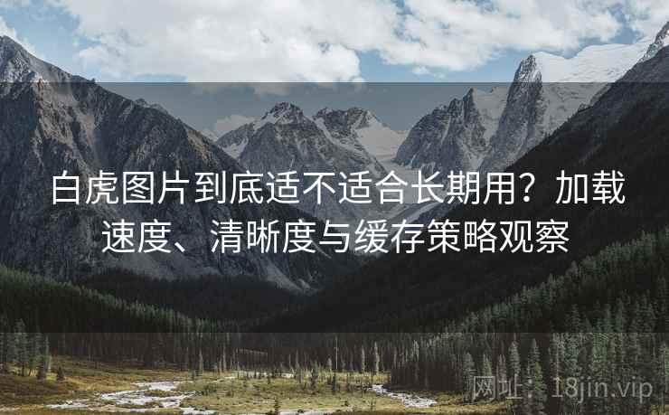 白虎图片到底适不适合长期用?加载速度、清晰度与缓存策略观察 白虎图片到底适不适合长期用?加载速度、清晰度与缓存策略观察